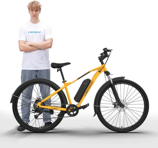 Vélo électrique, Moteur 36V 250W, Pneus 29x2.4', Batterie Amovible 13Ah, Suspension Avant 100mm, EMotorad T-Rex Air, Tout-Terrain pour Adultes