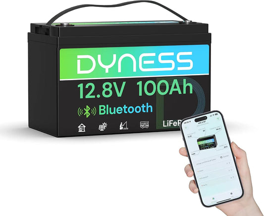 Modèle 100 Ah Bluetooth avec Protection 100A BMS LiFePO4 Batterie Lithium, Camping-Car pour kit Panneau Solaire, Caravane, Alimentation de Secours